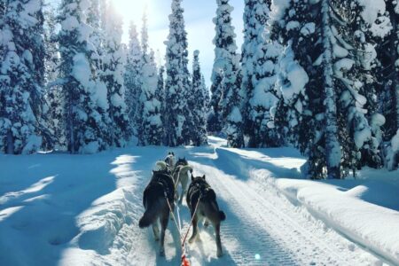 Séjour au coeur de la Laponie Suédoise – Janvier ou Février 2025