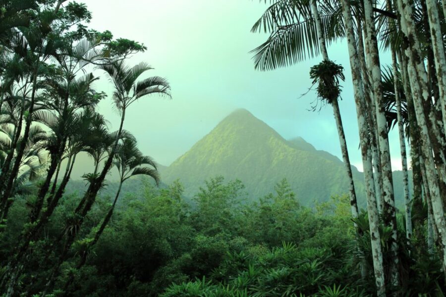 Explorez la Perle des Caraïbes : La Martinique