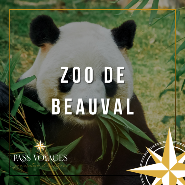 Zoo de Beauval - Sur devis