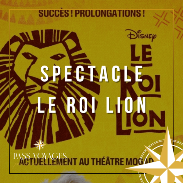 Spectacle - Le Roi Lion - Samedi 30/11/24