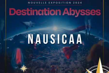 Nausicaa – Sur devis