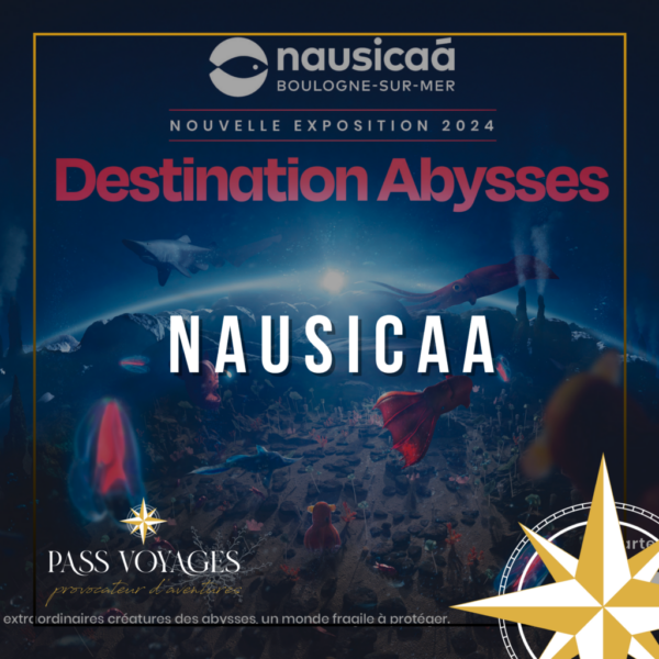 Nausicaa - Sur devis