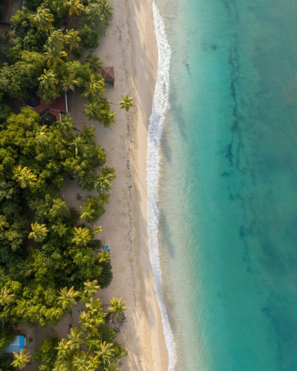 Séjour en Martinique - Du 02 au 10 Juin 2025 – Image 4